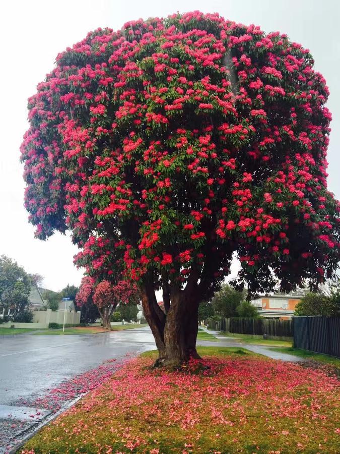 Rotorua City Center Holiday House 외부 사진